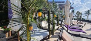 486403946 9599637510103927 8622590326491753774 n