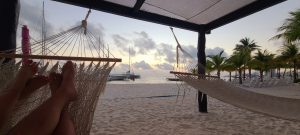 487877332 9676254912442186 9134131364403822175 n