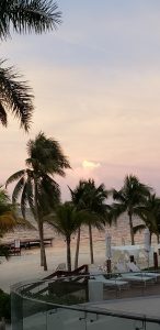 118673159 3463808537020219 5973945392199978548 n