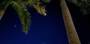 118733955 3463808673686872 8170607085159448413 n