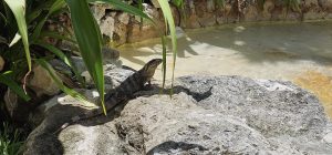 458407345 8369725873095103 2723376894541787098 n