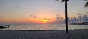 482323205 9521908011210211 2339181648890786472 n