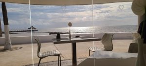 486081362 9599637493437262 1225835568647216847 n