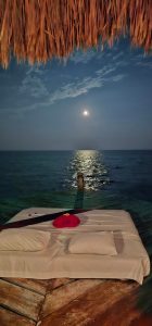 490269688 9726430130757997 2908304368152650957 n