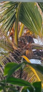 490702957 9726430224091321 2820255506970369088 n